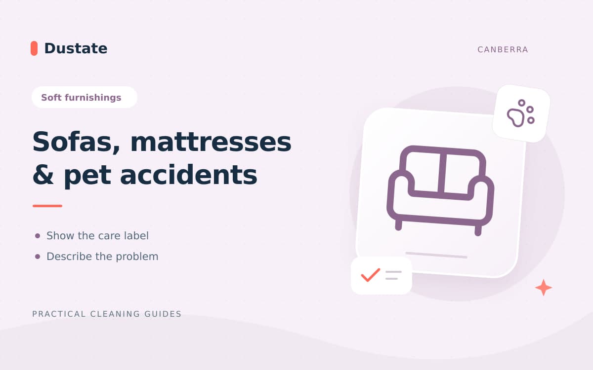 Illustrated Dustate guide: Pet Accidents, Upholstery and Mattresses: What to Include in a Cleaning Quote